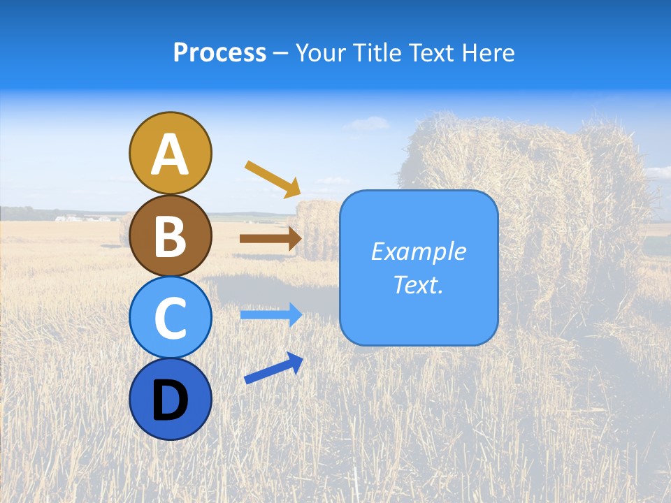 Season Wheat Blue PowerPoint Template