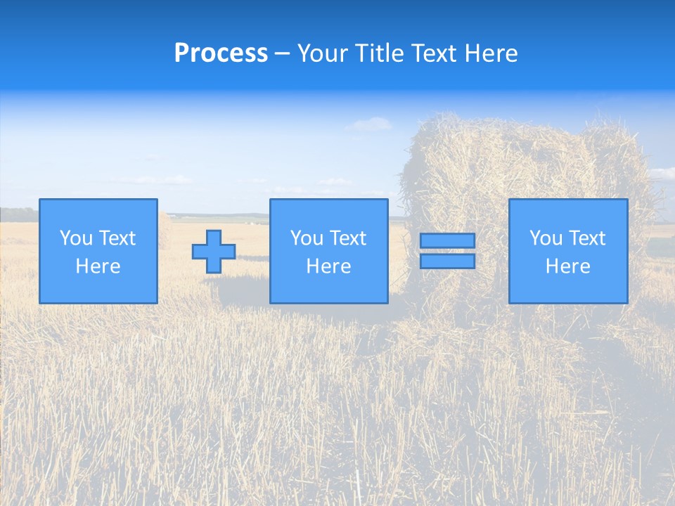 Season Wheat Blue PowerPoint Template