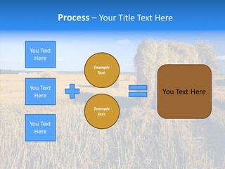 Season Wheat Blue PowerPoint Template