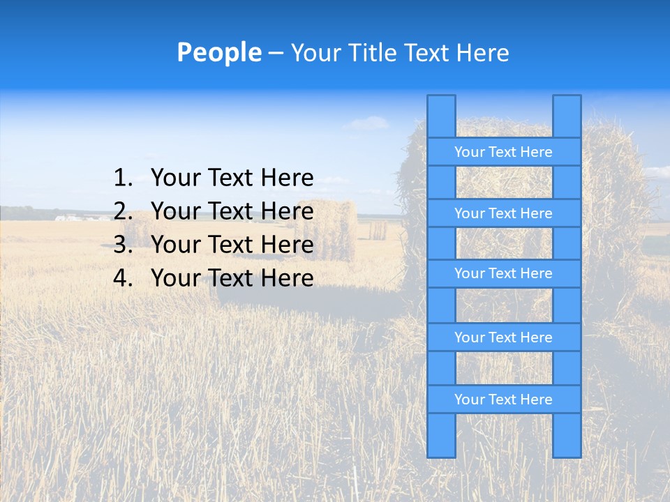 Season Wheat Blue PowerPoint Template