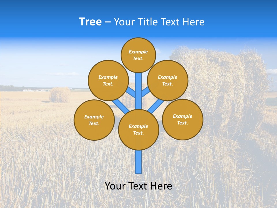 Season Wheat Blue PowerPoint Template