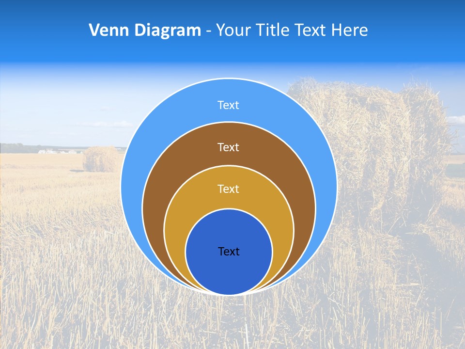 Season Wheat Blue PowerPoint Template