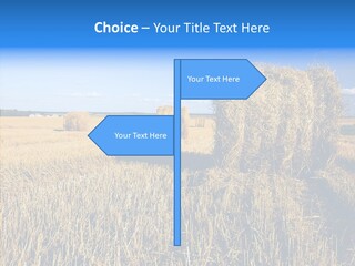 Season Wheat Blue PowerPoint Template