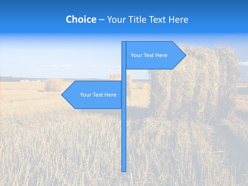 Season Wheat Blue PowerPoint Template
