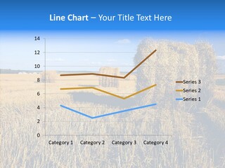 Season Wheat Blue PowerPoint Template