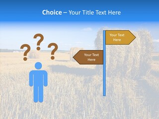 Season Wheat Blue PowerPoint Template