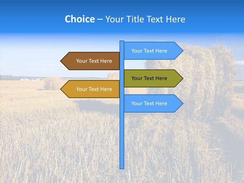 Season Wheat Blue PowerPoint Template