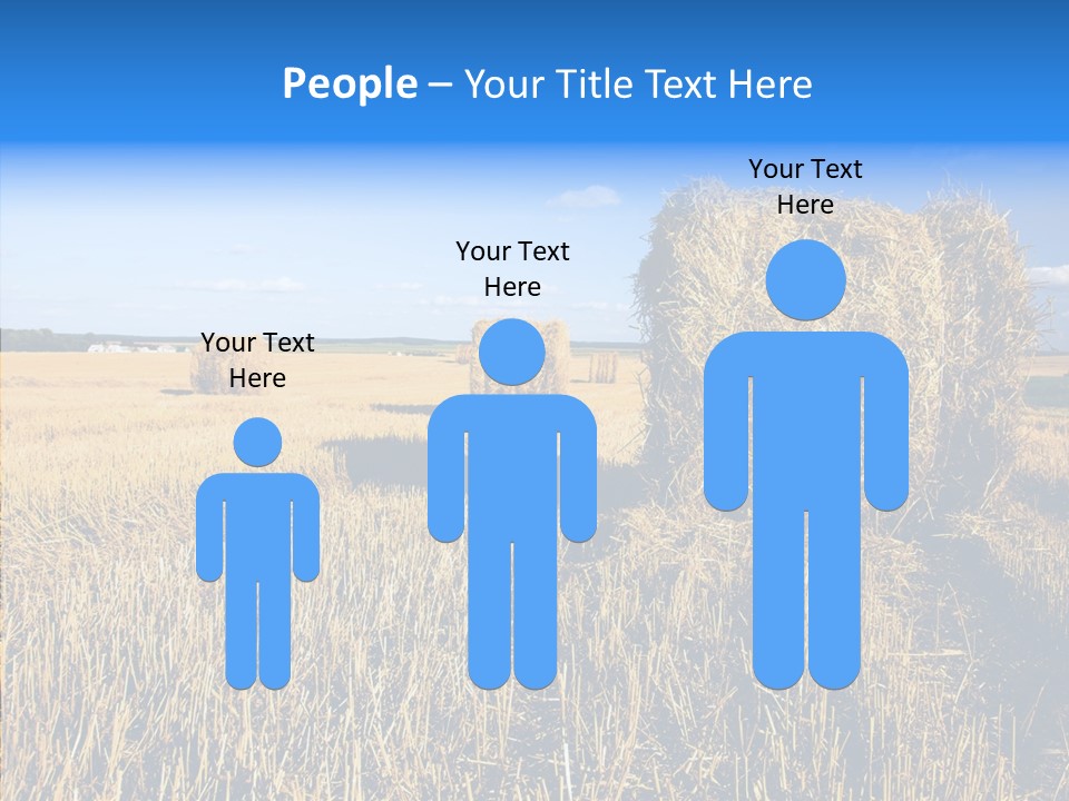 Season Wheat Blue PowerPoint Template
