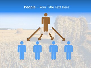 Season Wheat Blue PowerPoint Template