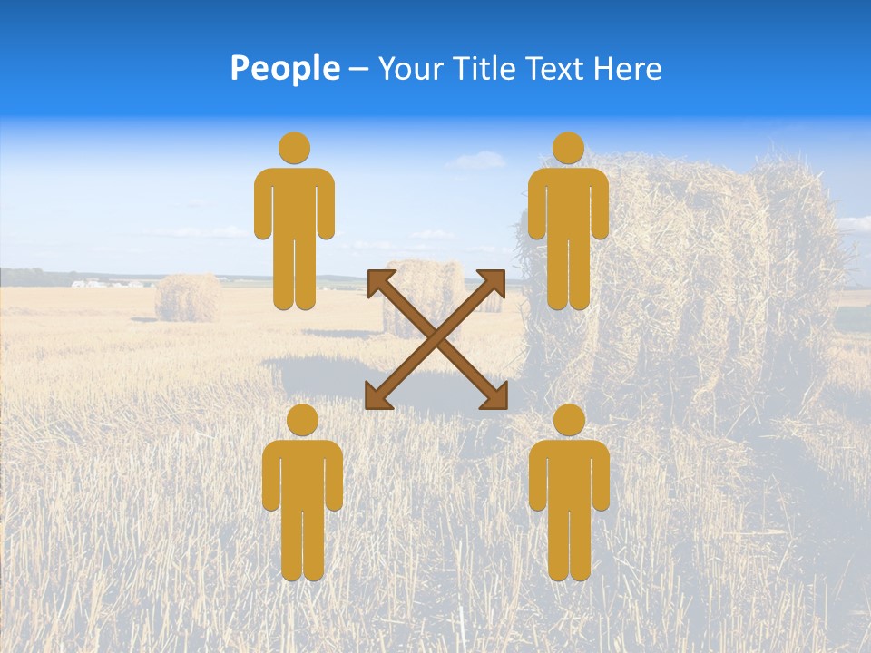 Season Wheat Blue PowerPoint Template