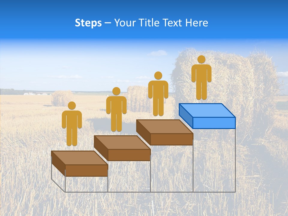 Season Wheat Blue PowerPoint Template