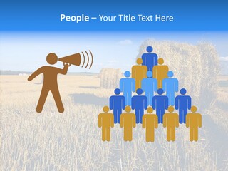 Season Wheat Blue PowerPoint Template