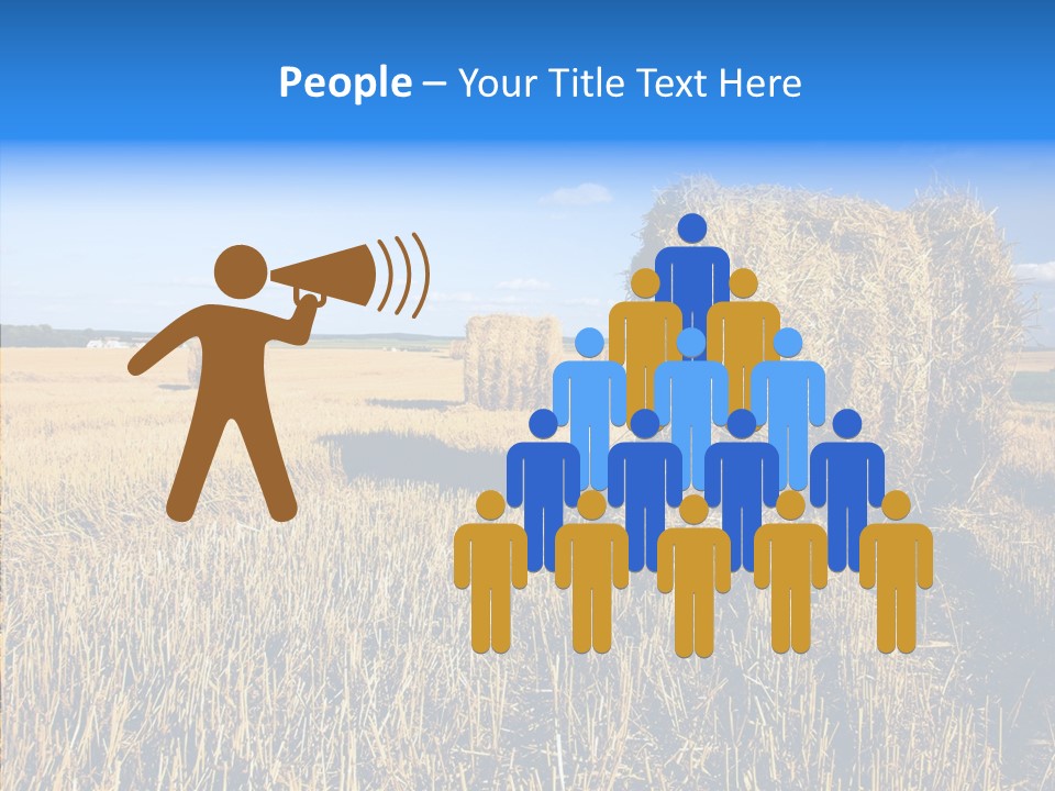 Season Wheat Blue PowerPoint Template