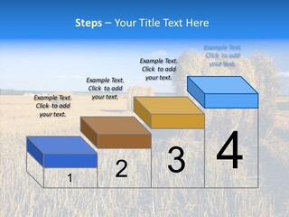 Season Wheat Blue PowerPoint Template
