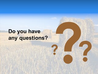 Season Wheat Blue PowerPoint Template