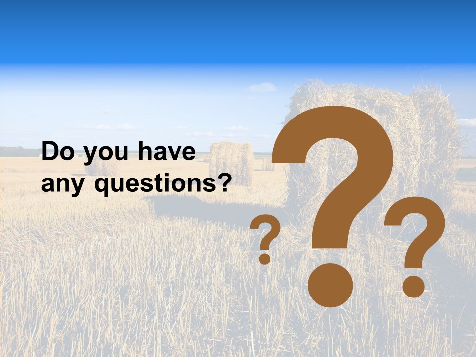 Season Wheat Blue PowerPoint Template