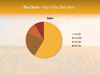 Whole Land Barley PowerPoint Template