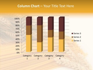 Wheat Nutrition Beautiful PowerPoint Template