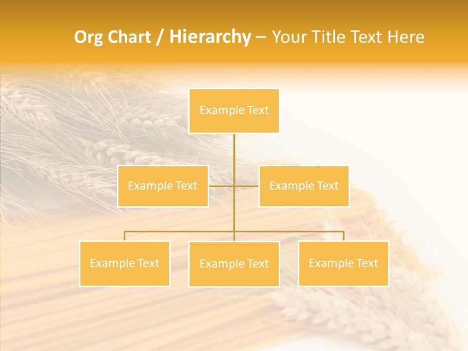 Wheat Nutrition Beautiful PowerPoint Template