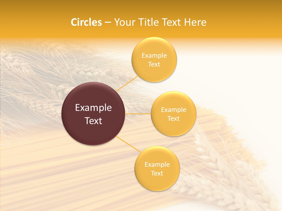 Wheat Nutrition Beautiful PowerPoint Template