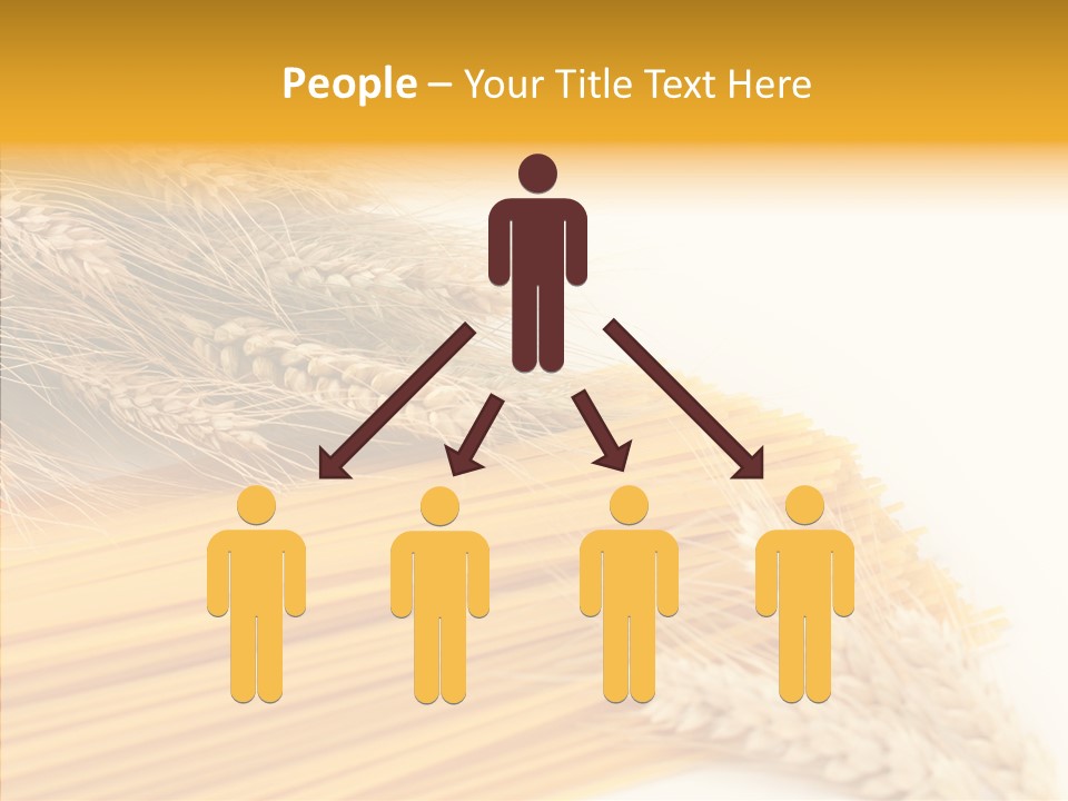 Wheat Nutrition Beautiful PowerPoint Template