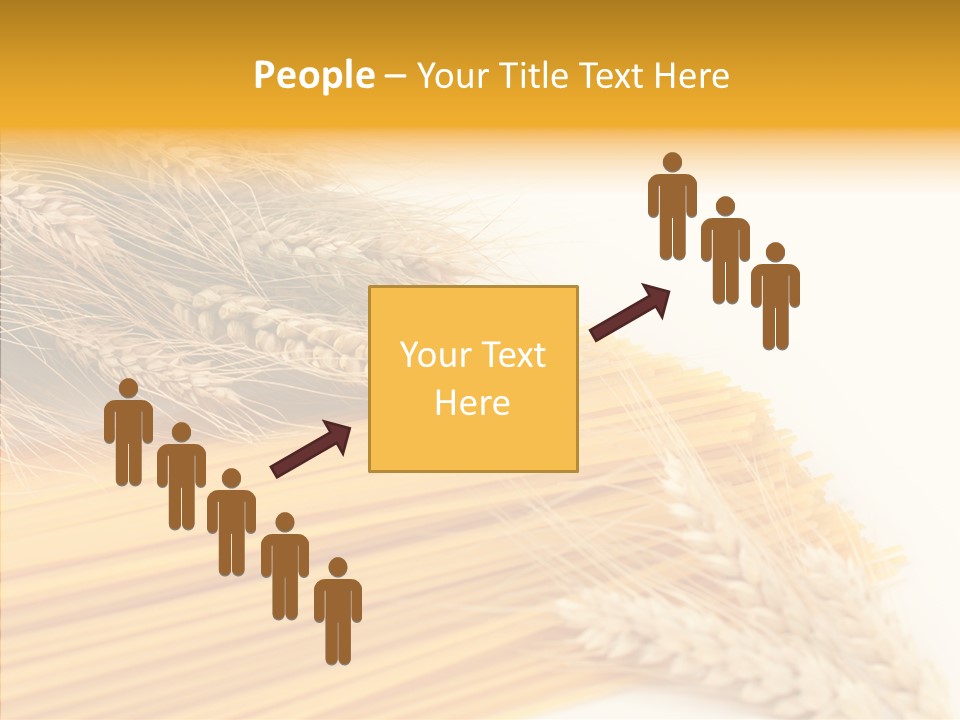 Wheat Nutrition Beautiful PowerPoint Template