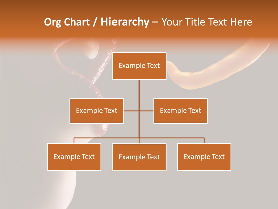 Woman Beauty Fashion PowerPoint Template