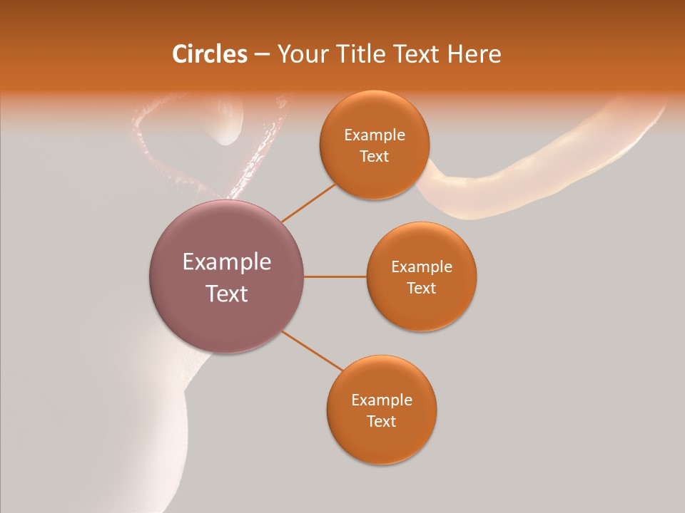 Woman Beauty Fashion PowerPoint Template