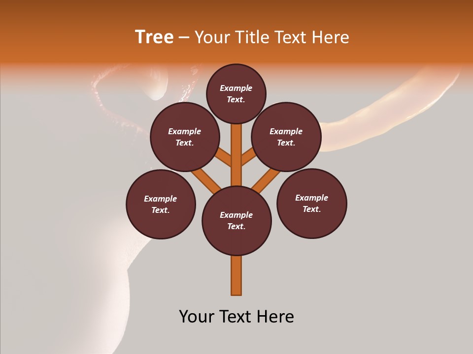 Woman Beauty Fashion PowerPoint Template