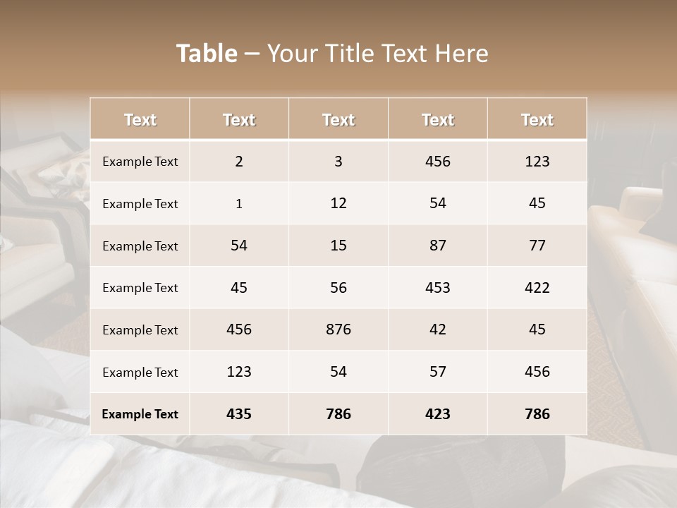 Indoors Home Rug PowerPoint Template