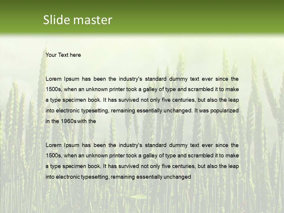 Nobody Nature Corn PowerPoint Template