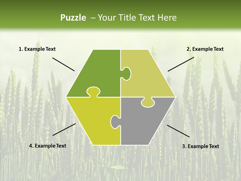 Nobody Nature Corn PowerPoint Template