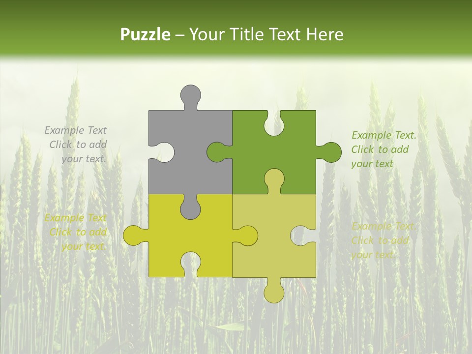 Nobody Nature Corn PowerPoint Template