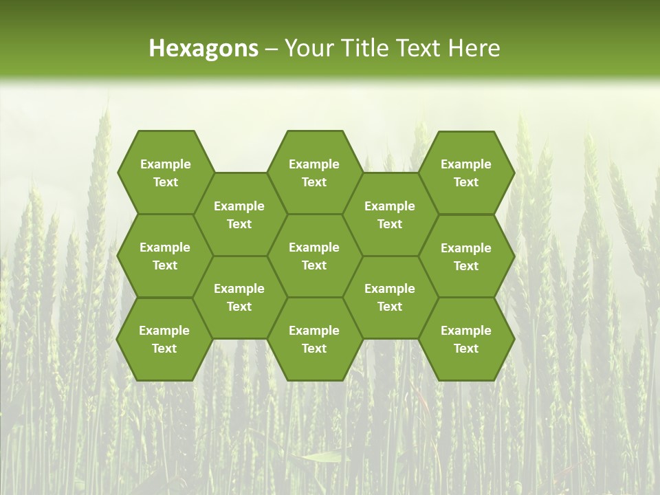 Nobody Nature Corn PowerPoint Template