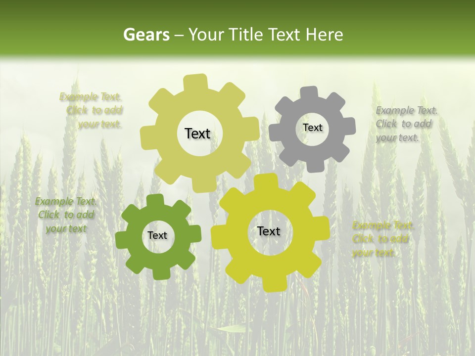 Nobody Nature Corn PowerPoint Template