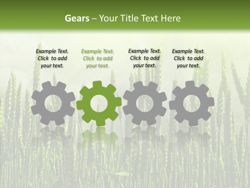 Nobody Nature Corn PowerPoint Template