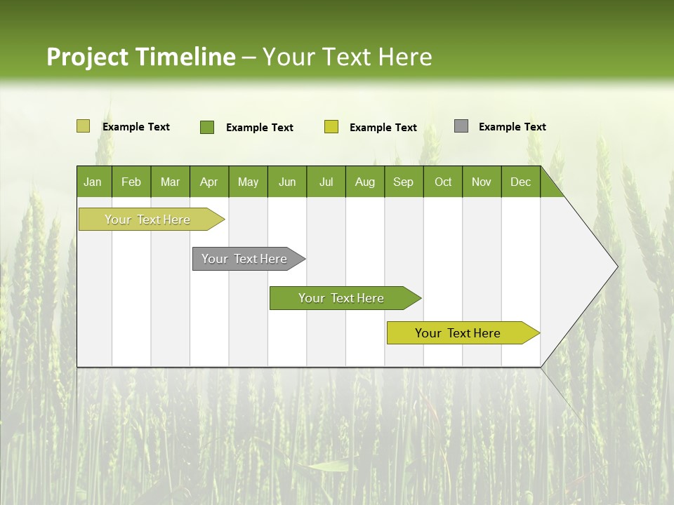 Nobody Nature Corn PowerPoint Template