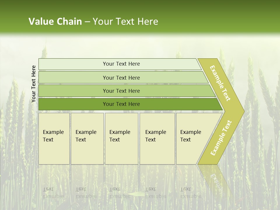 Nobody Nature Corn PowerPoint Template