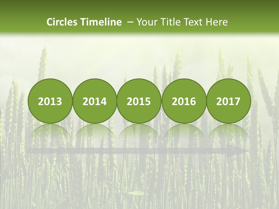 Nobody Nature Corn PowerPoint Template