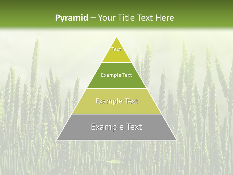 Nobody Nature Corn PowerPoint Template