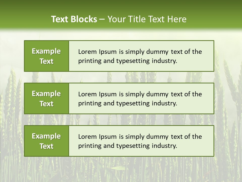 Nobody Nature Corn PowerPoint Template