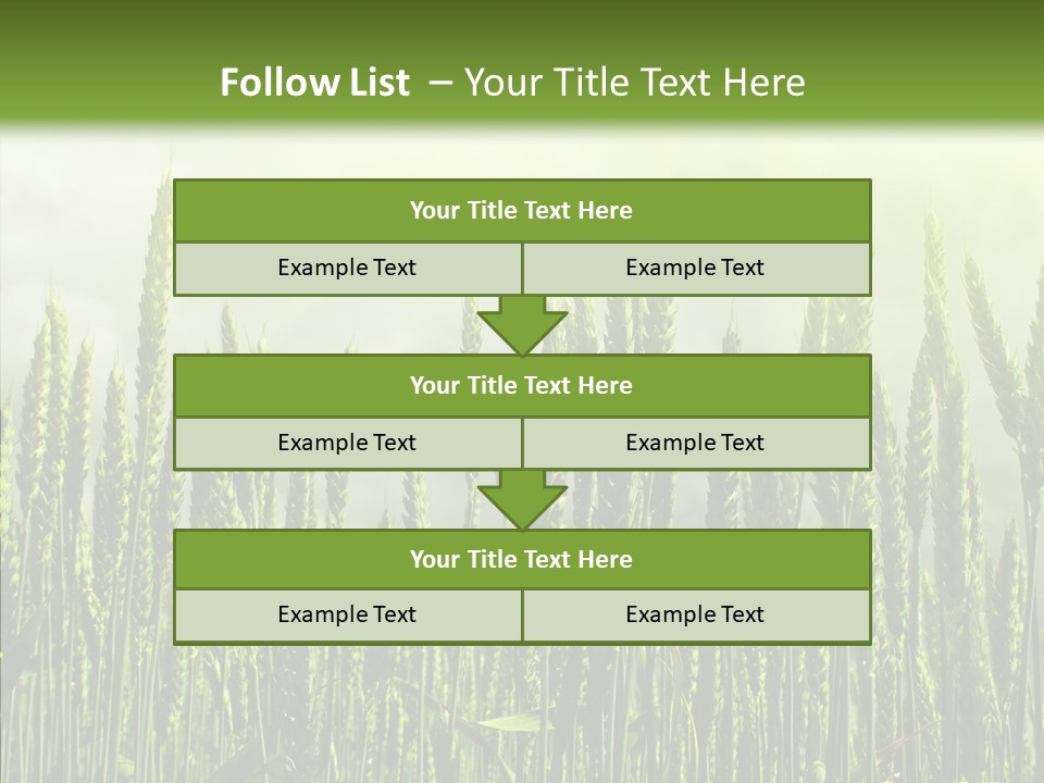 Nobody Nature Corn PowerPoint Template