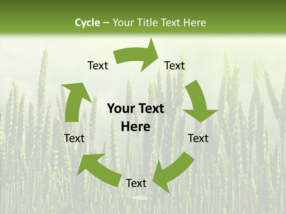 Nobody Nature Corn PowerPoint Template