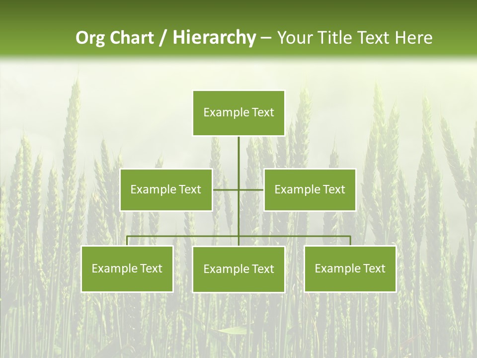 Nobody Nature Corn PowerPoint Template