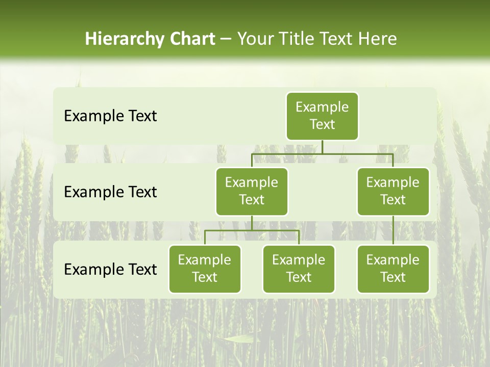 Nobody Nature Corn PowerPoint Template