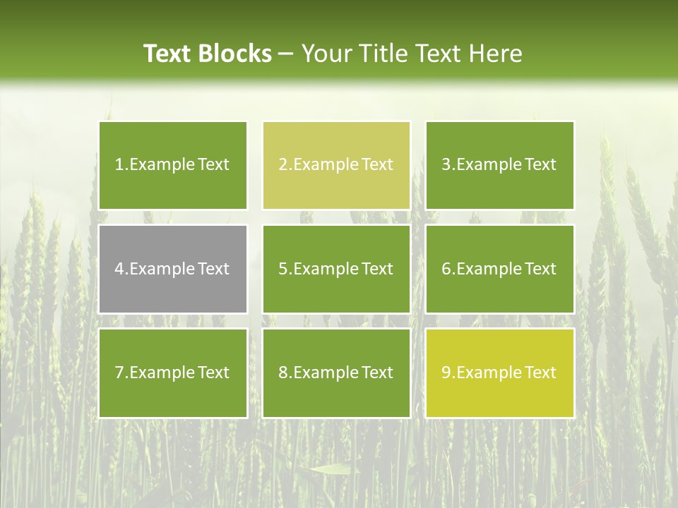 Nobody Nature Corn PowerPoint Template