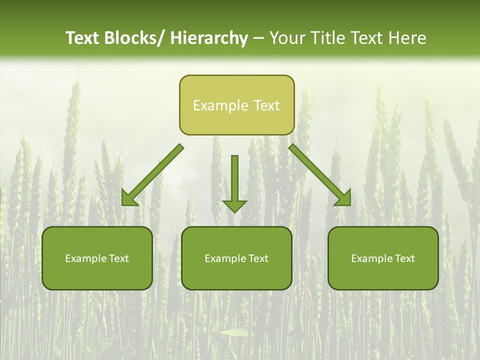 Nobody Nature Corn PowerPoint Template