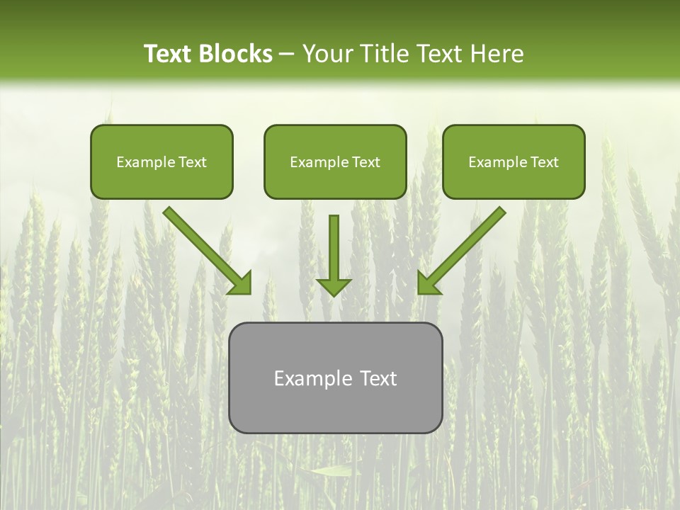 Nobody Nature Corn PowerPoint Template