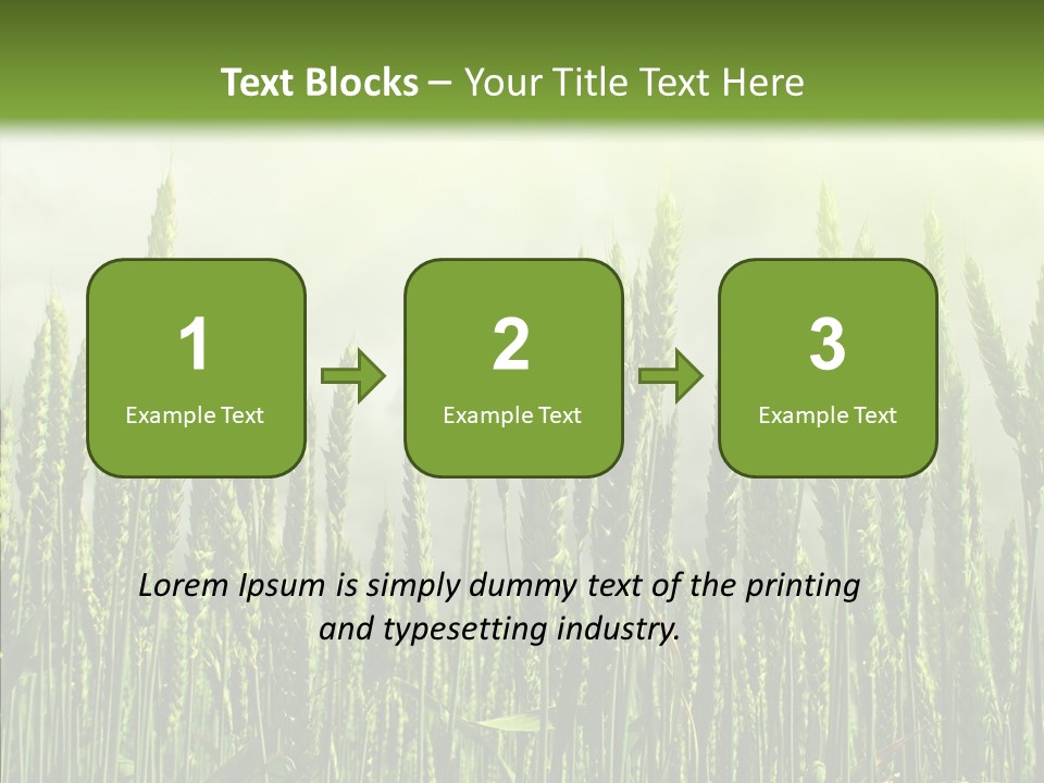 Nobody Nature Corn PowerPoint Template