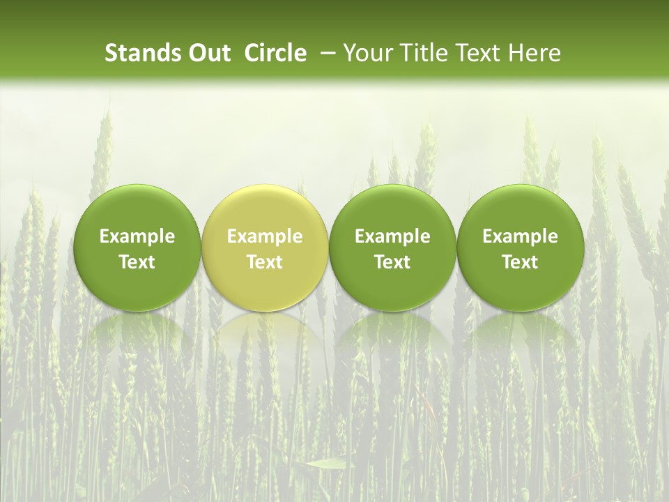 Nobody Nature Corn PowerPoint Template